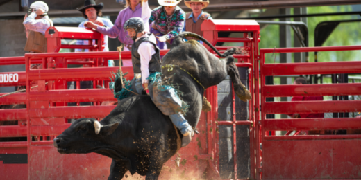 Image of Hanover Ag's Bull Riders Canada Invitational, August 18-19